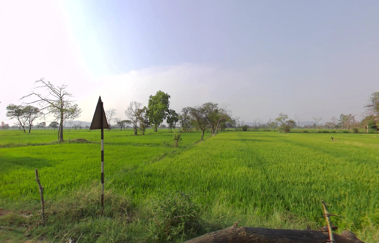 Tuma, Chhattisgarh, India