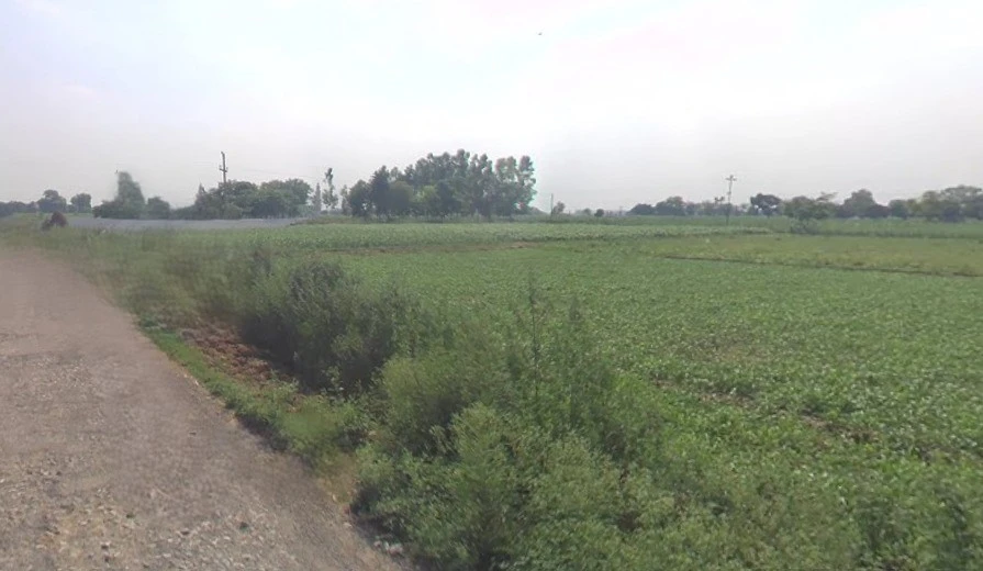 Sardhana, Uttar Pradesh 250342, India