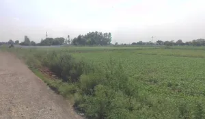 Sardhana, Uttar Pradesh 250342, India preview 2
