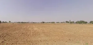 Kot Jewar, Rajasthan 303338, India preview 2
