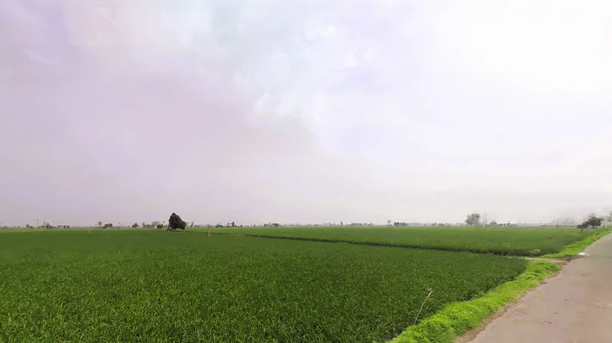 Assandh, Haryana 132039, India preview 2