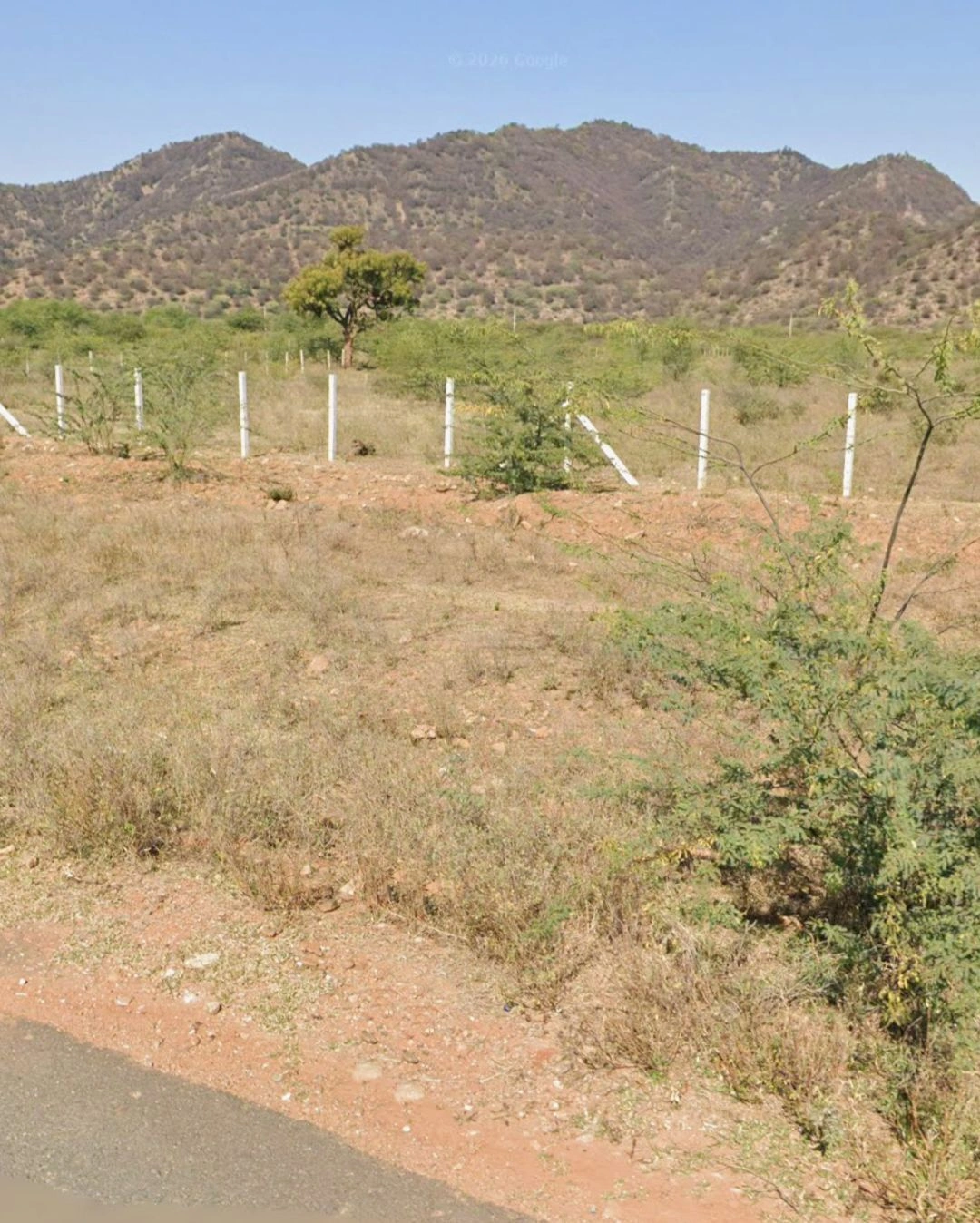 Chachiyawas, Ajmer, Rajasthan 305023, India