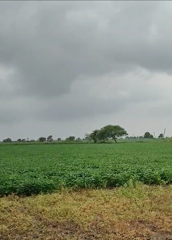 75JC+F6V, Ratlam, Jalod, Madhya Pradesh 454001, India