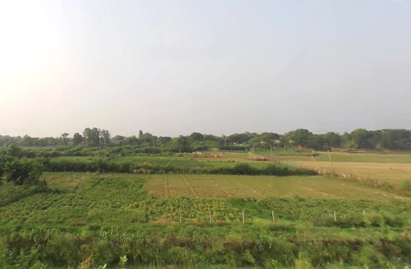 Jhangaha, Uttar Pradesh 273202, India
