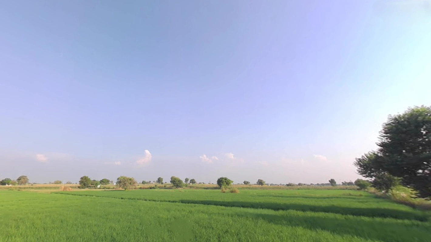 Charkhi Dadri, Haryana 127306, India