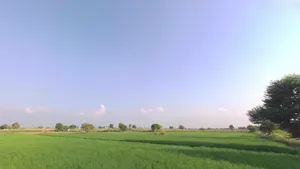Charkhi Dadri, Haryana 127306, India preview 2