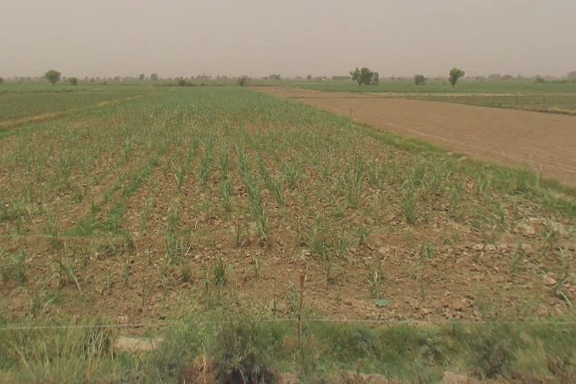 Baraut, Uttar Pradesh 250611, India