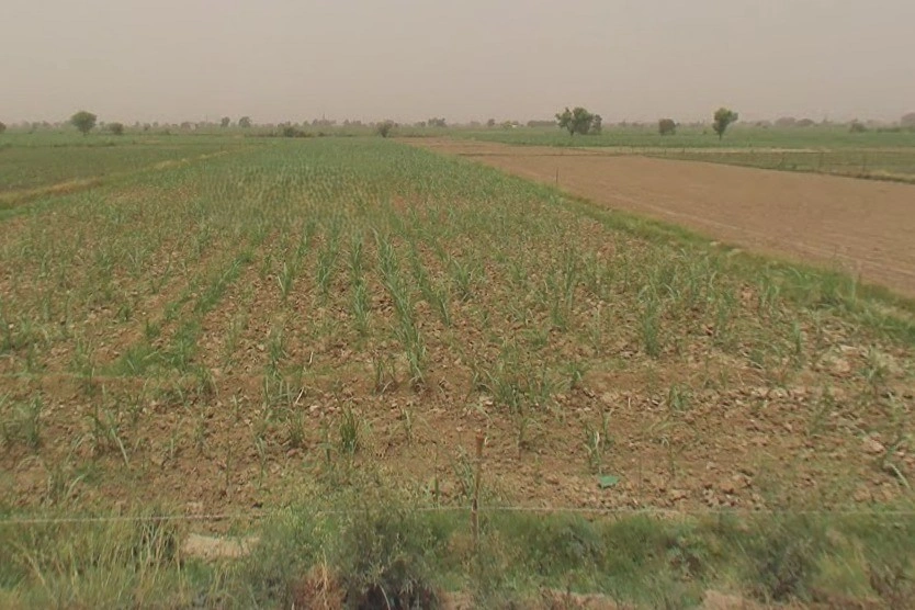 Baraut, Uttar Pradesh 250611, India