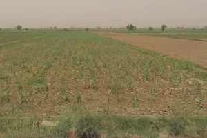 Baraut, Uttar Pradesh 250611, India preview 2