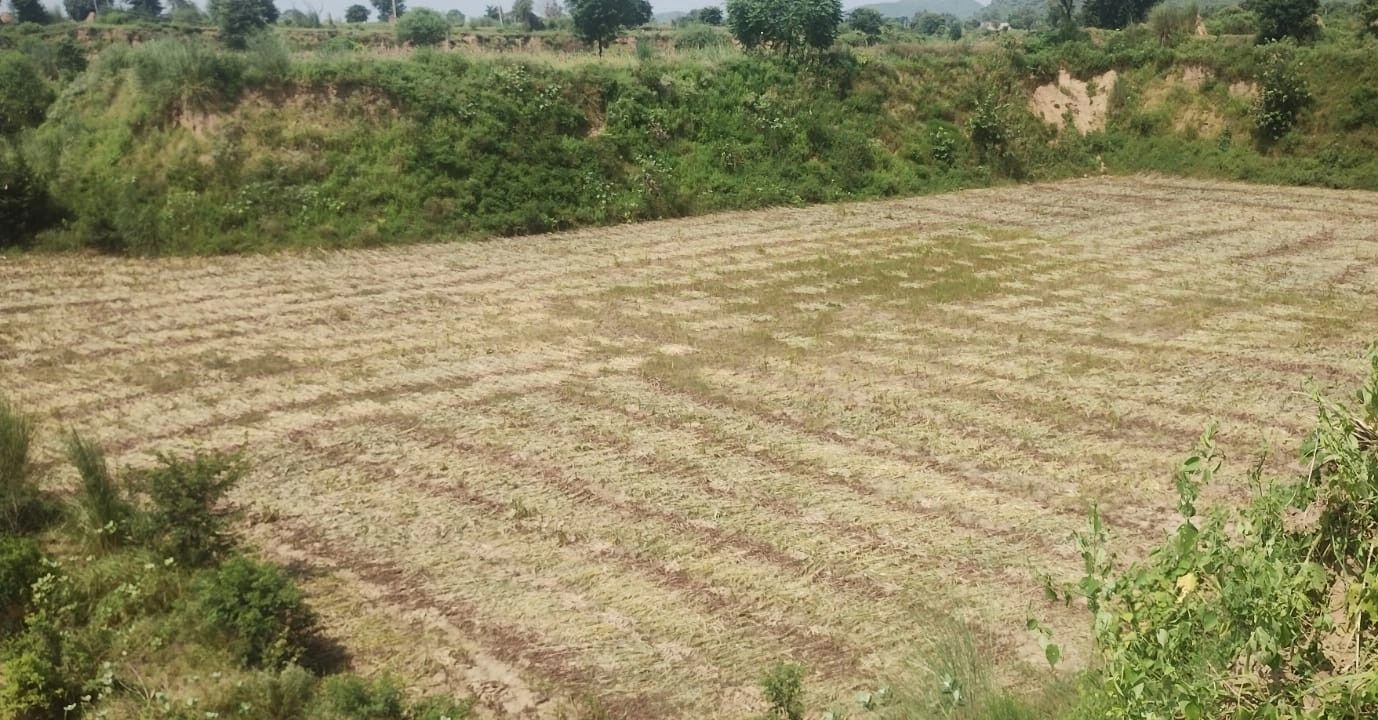 Pinan, Rajasthan, India