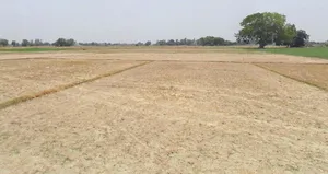 Dhablahardu, Madhya Pradesh 456550, India preview 3