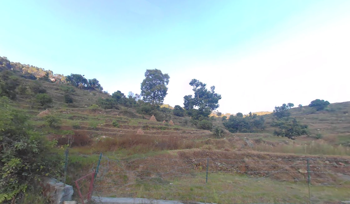 84PQ+RC8, Thewa, Dwara, Uttarakhand 249145, India