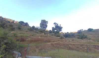 84PQ+RC8, Thewa, Dwara, Uttarakhand 249145, India preview 3