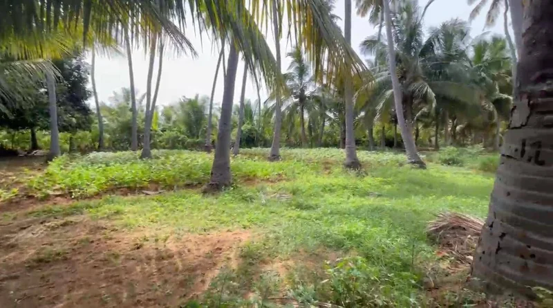 Madurai, Tamil Nadu, India preview 3