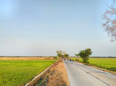 Kotma, Madhya Pradesh 484334, India preview 5