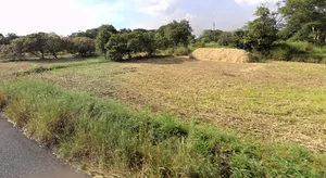 Desur, Karnataka, India preview 2