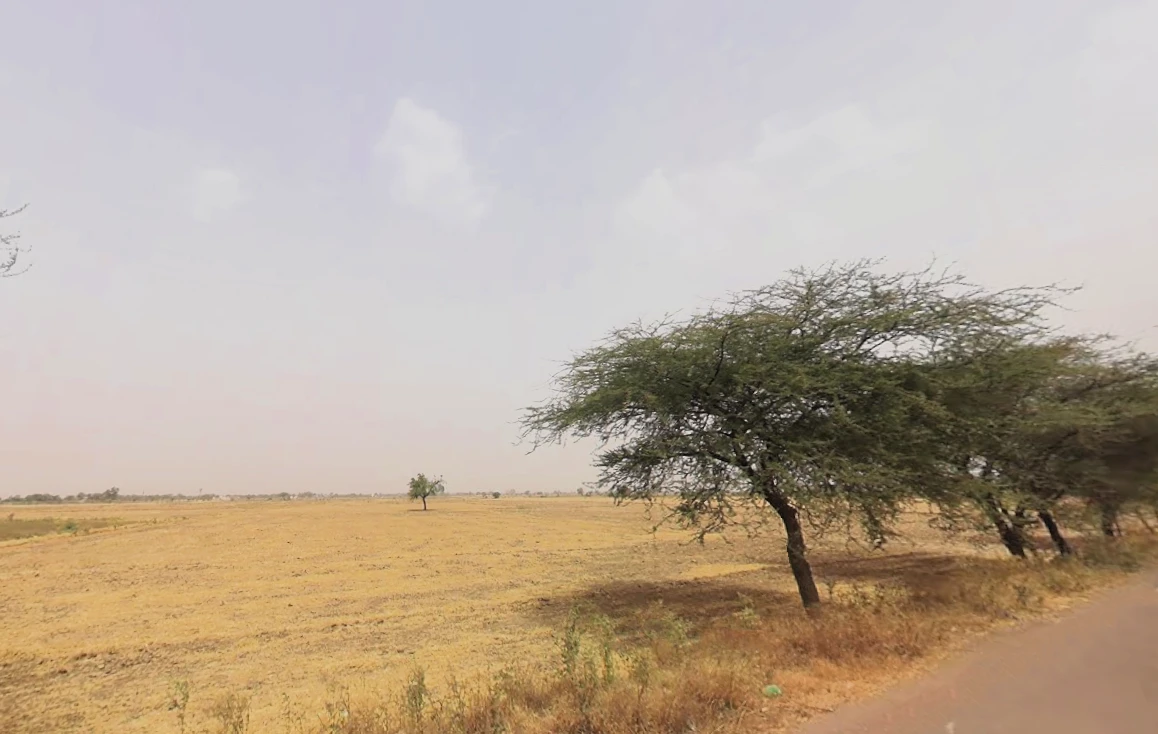 Luhari, Haryana 124108, India