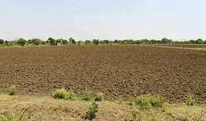 Kalmoda, Madhya Pradesh 457001, India preview 3