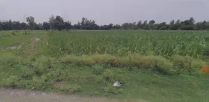 Ujjain, Madhya Pradesh, India preview 2