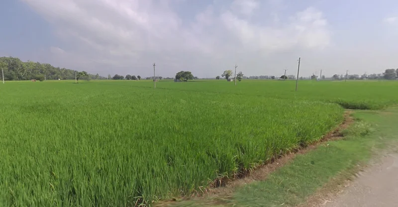 GJ SH 60, Saiyat, Gujarat 388225, India preview 2