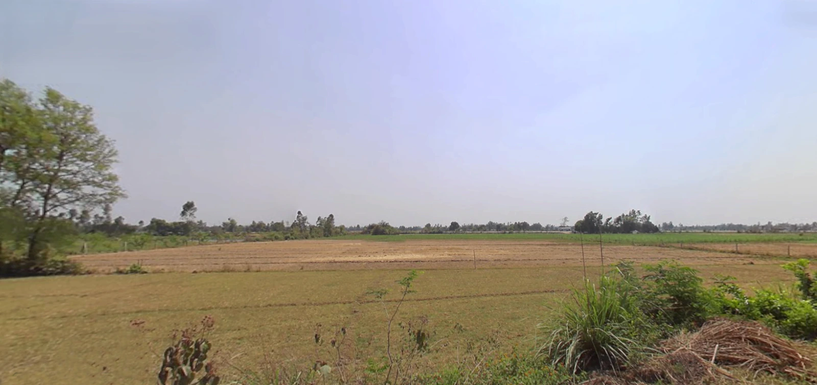 Hasanpur, Uttarakhand 247662, India