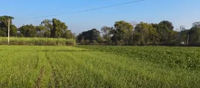 NH 58, Muzaffarnagar, Chhapar, Uttar Pradesh 251307, India preview 3