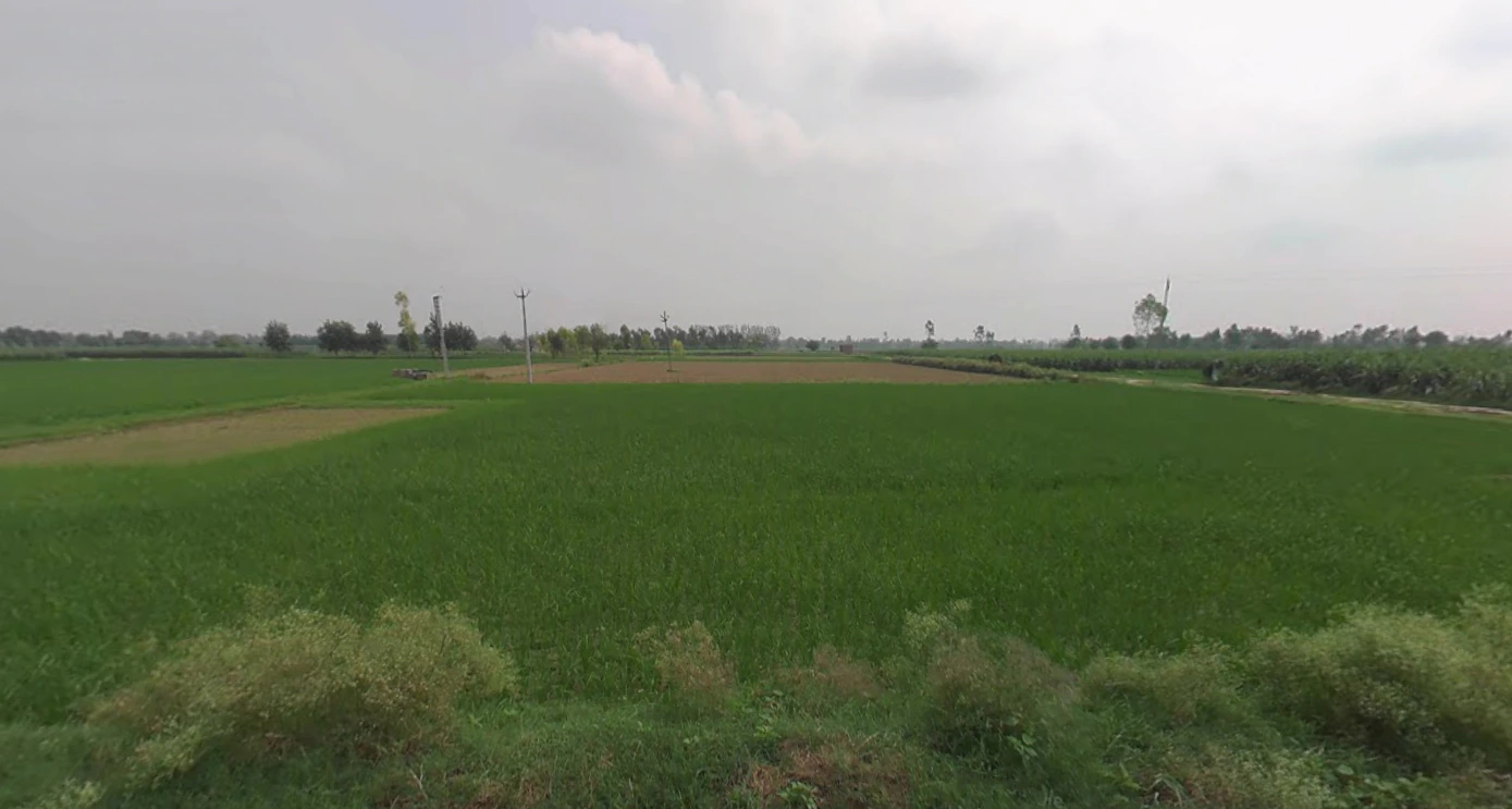 Khutar, Uttar Pradesh 242405, India