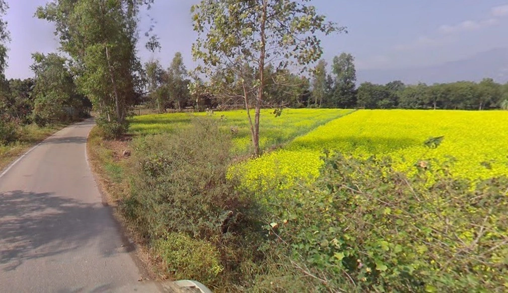 23 Milestone, NH-07, Chakrata Rd, Shankarpur, Shankerpur Hakumatpur, Uttarakhand 248197, India