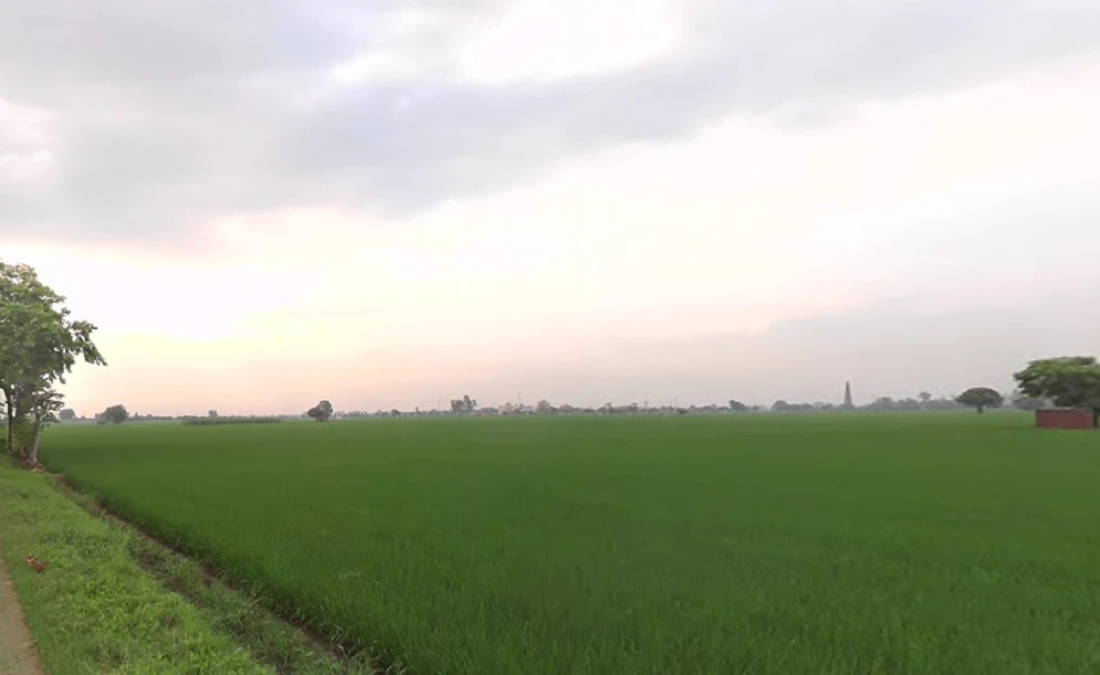 Devigarh, Punjab 147111, India
