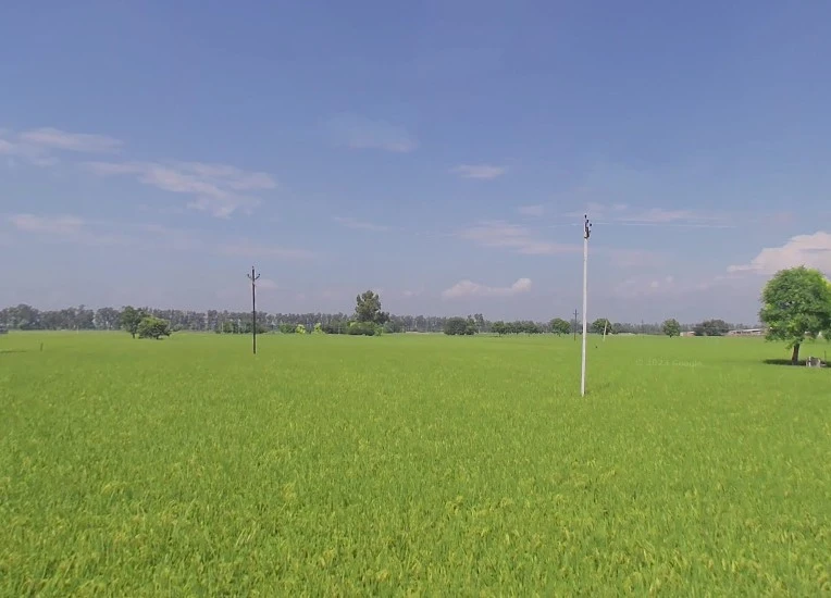 Bhinder Khurd, Punjab 142041, India