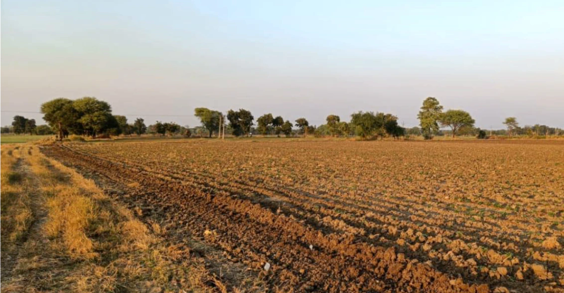 XR8M+RW Sanwer, Indore, Madhya Pradesh, India