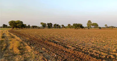 XR8M+RW Sanwer, Indore, Madhya Pradesh, India preview 3