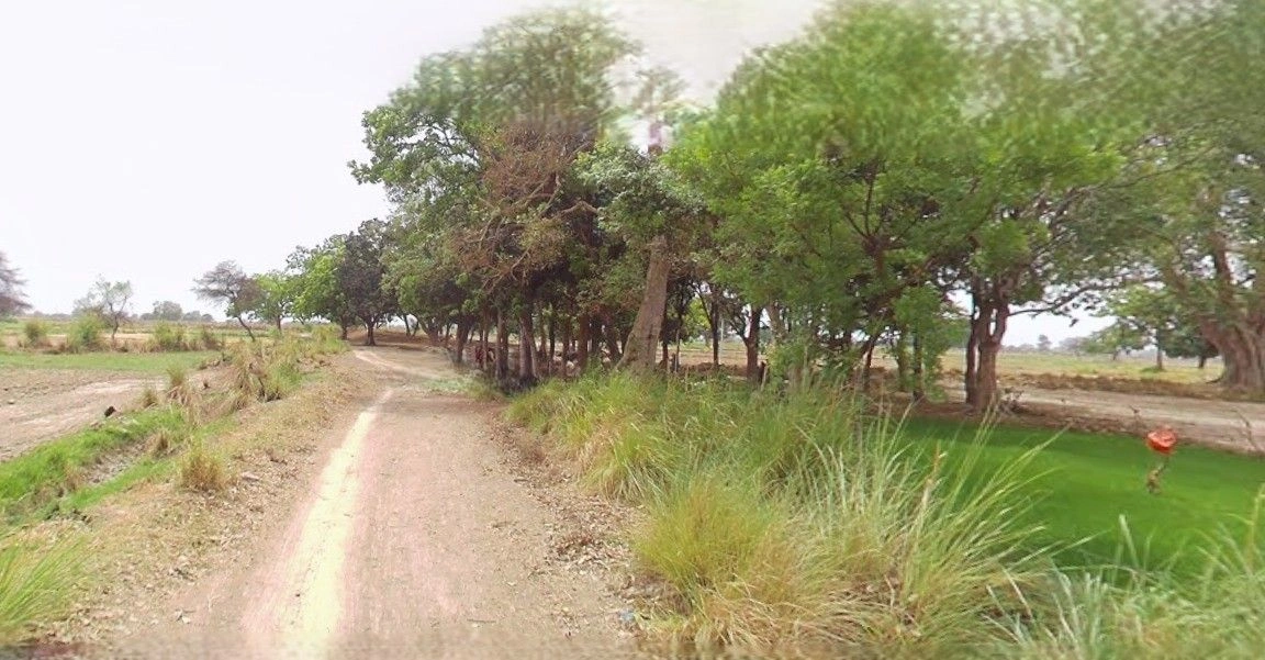 Agar, Madhya Pradesh 465441, India