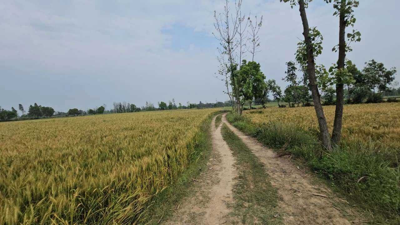 Amarpura, Rajasthan 323803, India