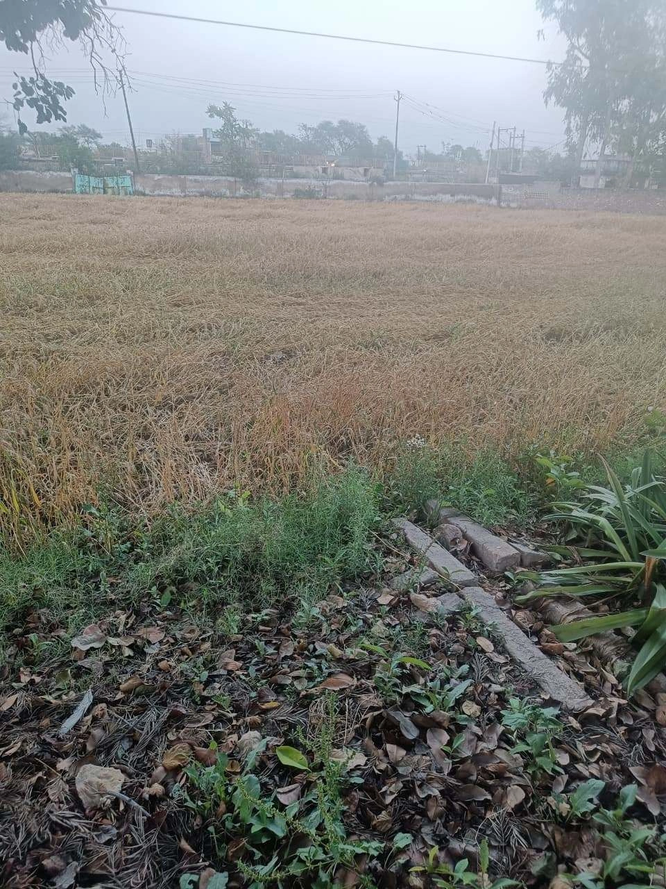 Gharwari, Rajasthan 321201, India preview 2