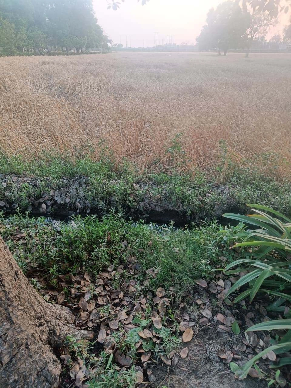 Gharwari, Rajasthan 321201, India