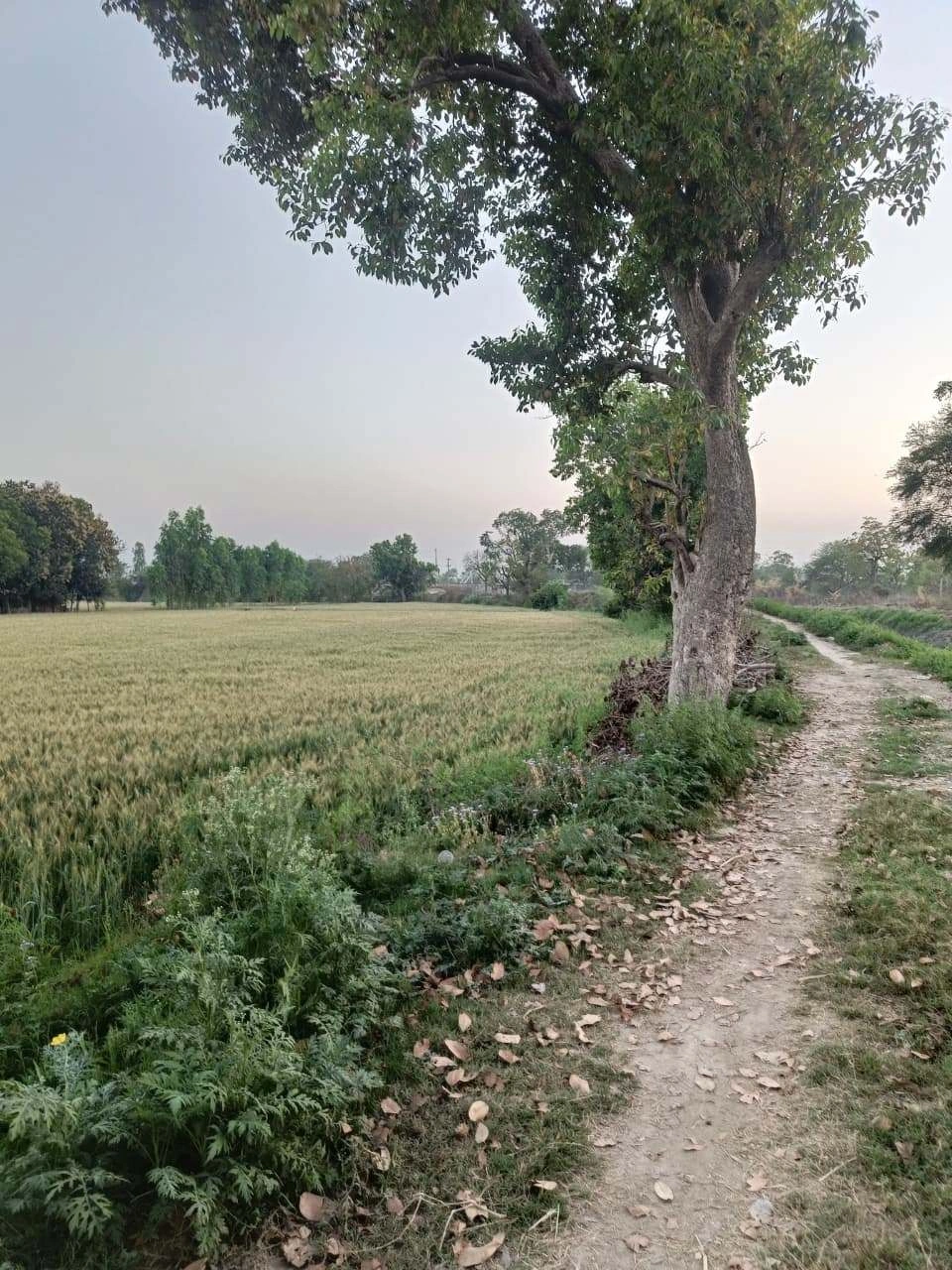 Gharwari, Rajasthan 321201, India