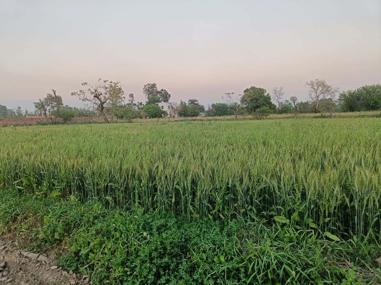 Gharwari, Rajasthan 321201, India preview 3