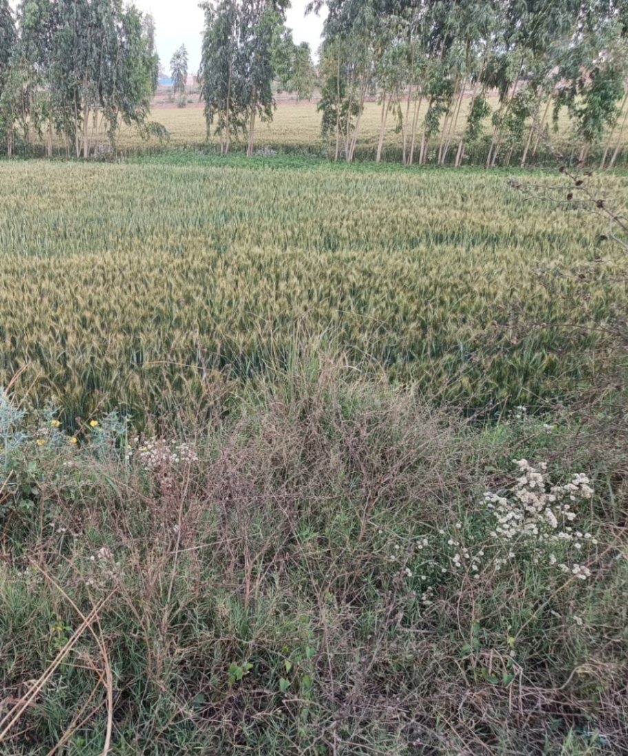 Gharwari, Rajasthan 321201, India