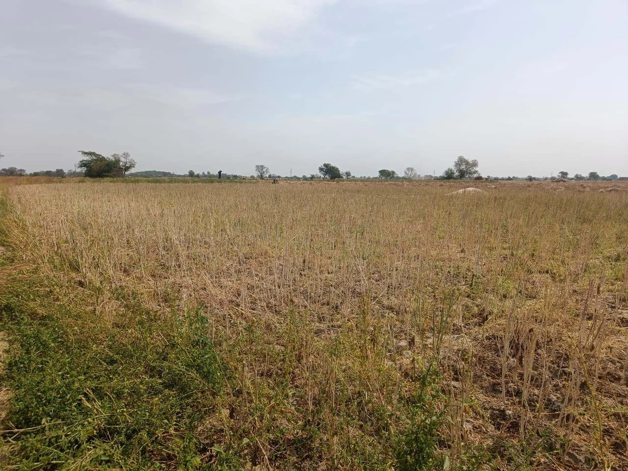 Gharwari, Rajasthan 321201, India