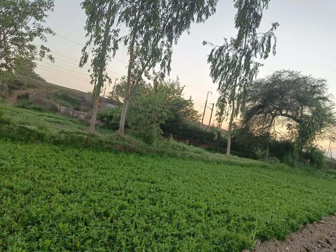 Gharwari, Rajasthan 321201, India