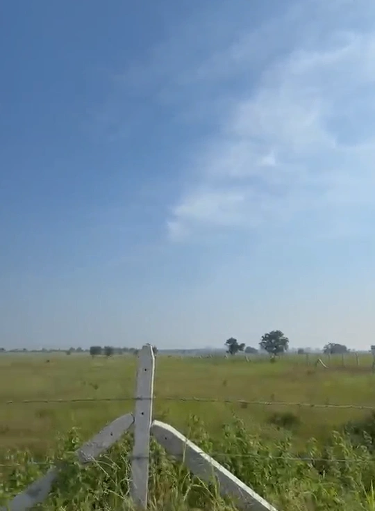 G246+766, Mahabubabad, Mahammadapur, Telangana 506333, India