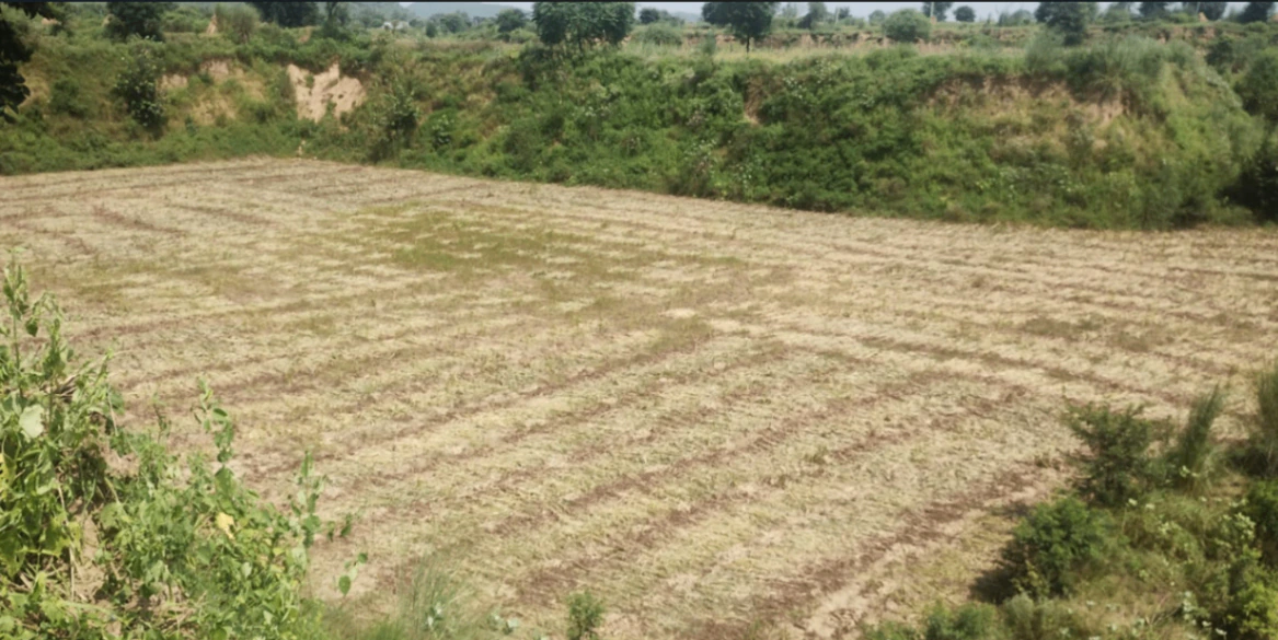 Jhande, Punjab, India