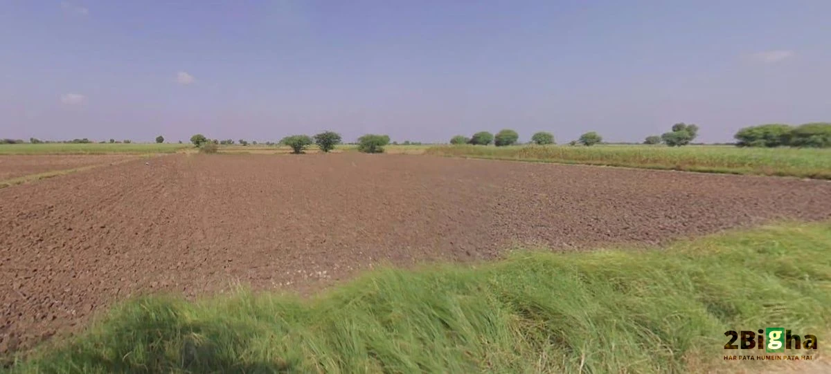 62FW+8JQ, Guda Rd, Jhalamand, Jodhpur, Rajasthan 342005, India