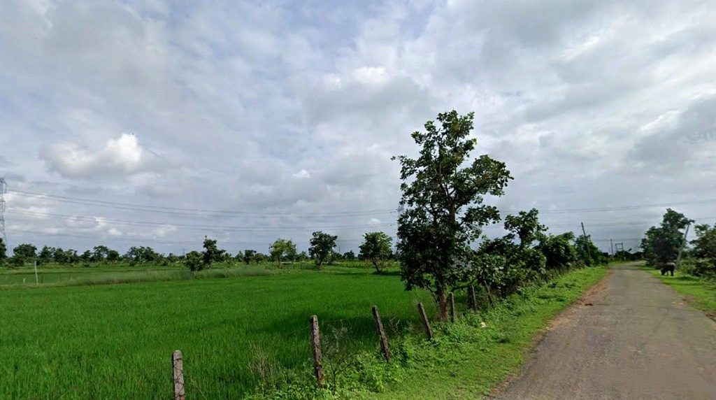 Temari, Chhattisgarh 495334, India