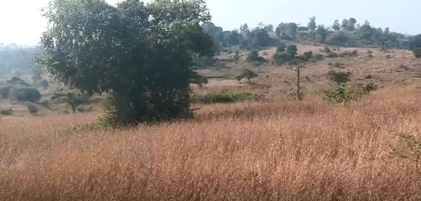 46JV+7CQ, Thane, Dahivali, Maharashtra 410206, India - Photo 3