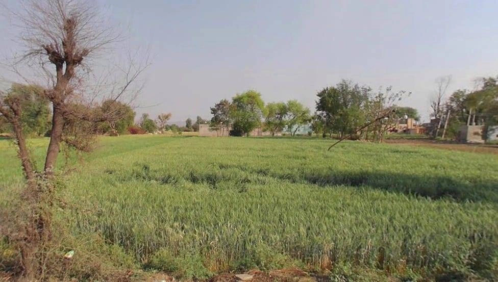 GMX5+3M Alwar, Rajasthan, India