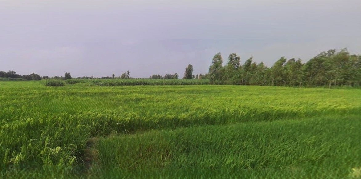 Sitarganj, Uttarakhand 262405, India