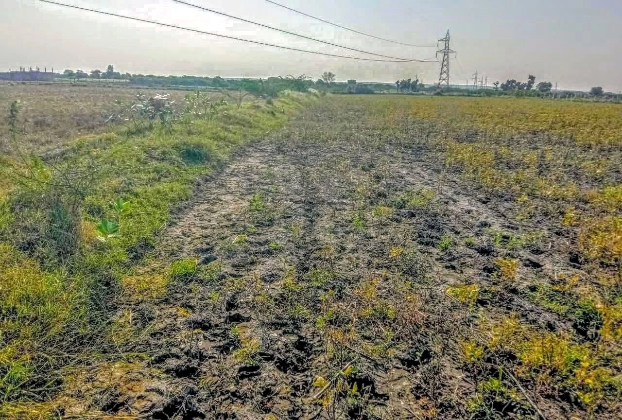 Naugaon, Rajasthan 301025, India
