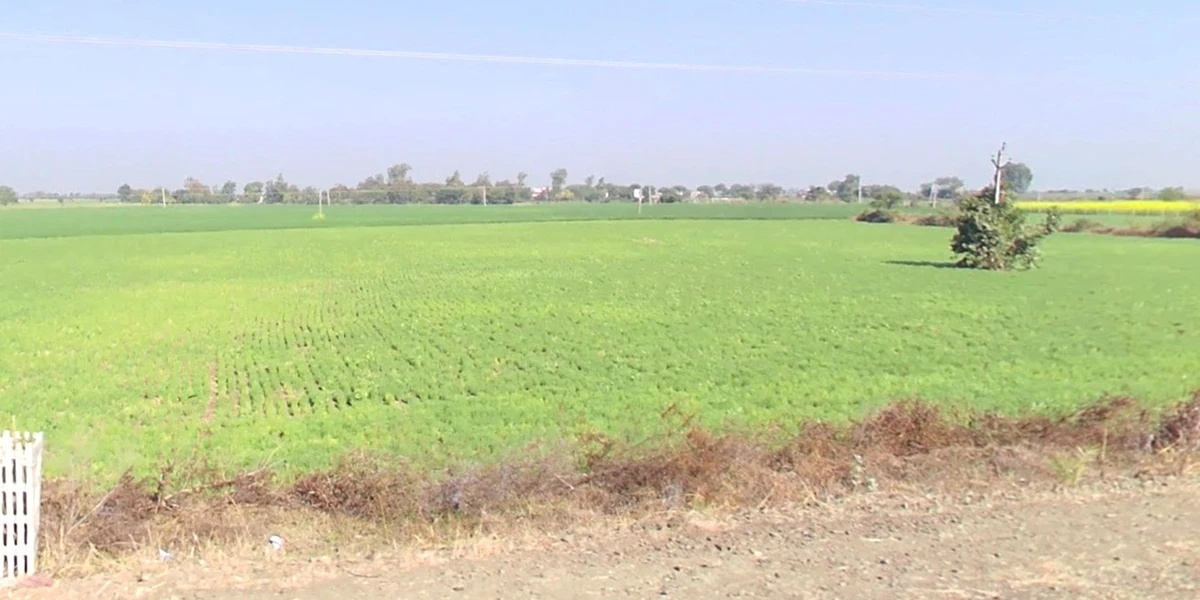 Kalwa, Madhya Pradesh, India